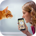 Cat Language Translator - Meow icon