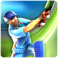 Smash Cricket Mod