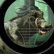 Pig Shooting Wild Animals Hunt