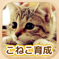 ねこ育成ゲーム - 子猫をのんびり育てる癒しの猫育成ゲーム icon