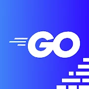 Learn Go Programming Mod