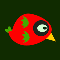 Bird Fly Adventure icon