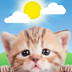 Weather Kitty - App & Widget Mod