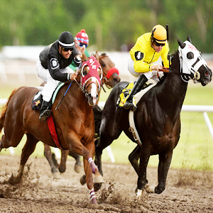 Horse Racing 3D Mod APK