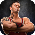 Wrestling Champion 3D icon