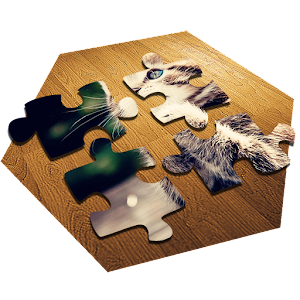 Download do APK de Jigsaw Puzzle Bug para Android