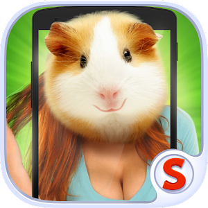 hamster collection APK + Mod for Android.