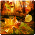 Autumn Live Wallpaper Mod