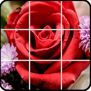 Flower games puzzle Mod