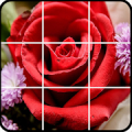 Flower games puzzle icon