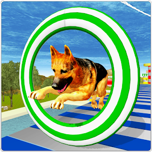 Crazy Dog APK for Android Download