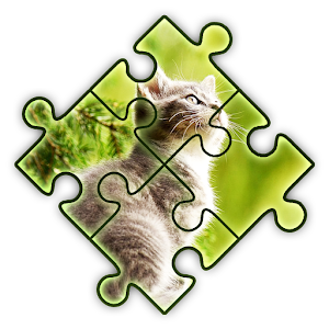 Download do APK de the jigsaw puzzles para Android