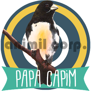 Descarga de APK de Canto Papa Capim Tui Tui Puro para Android