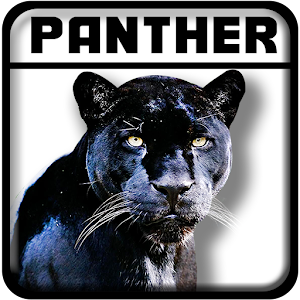 Black Panther Mod, How To Download & Install