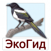 EcoGuide: Russian Birds Mod