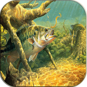 Bass Fishing Wallpapers APK -Ltc Bass Fishing Wallpapers 1.29 download.