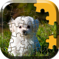 Cute Dog Puzzle Games icon
