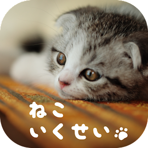 Cat Simulation Game 3D Mod Apk