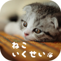 Cat Simulation Game 3D APK