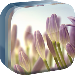 Violet Flowers Live Wallpaper Mod