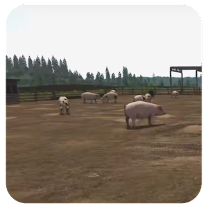 Farming Animals Stocking Feed Farming Simulator Mod Farming Animals Stocking Feed Farming Simulator Mod