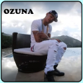 En La Intimidad - Ozuna Mod