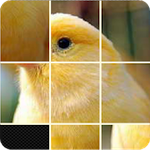 Pictures Puzzle Best Game Mod Apk