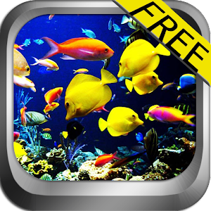 5D Marine Aquarium Theme Mod apk download - 5D Marine Aquarium Theme ...