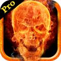 PicFire Fx Pro icon