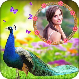 Peacock photo frame Mod apk download Peacock photo frame MOD apk free Peacock photo frame Mod apk download Peacock photo frame MOD apk free