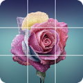 Beautiful puzzles icon