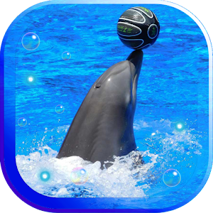 Dolphins Live Wallpaper - APK Download for Android