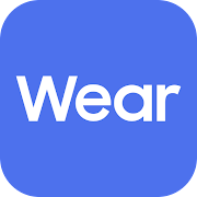 Wearable Manager Installer Mod