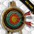 Archery Champion PRO: ADS FREE Mod