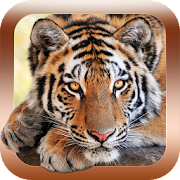 Animal Sounds Zoo for Toddlers Mod