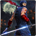 Ninja War Lord APK icon