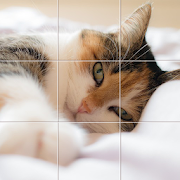 Tiny Photo Puzzle Mod APK