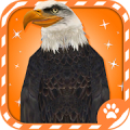 Virtual Pet Eagle icon