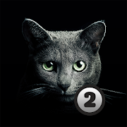 Find a cat 2 Mod APK 1.6.0