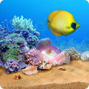 Aquarium HD for GoogleTV Mod