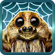 Spider Gagambattle! Mod Apk