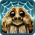 Spider Gagambattle! APK