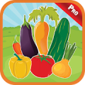 Vegetables Alphabet For Kids - Name & Match Games‏ Mod