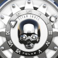 Polar Watch Face icon