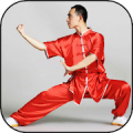 Kung Fu postures. Train Kung Fu steps Mod