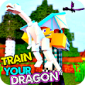 Addon Train Your Dragon Mod