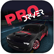 PRO-Driver icon