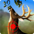 Jungle Deer Hunting Game 2017: Deer Hunting game Mod