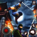 Ninja Señor de la Guerra Mod
