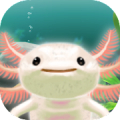 Axolotl Pet icon